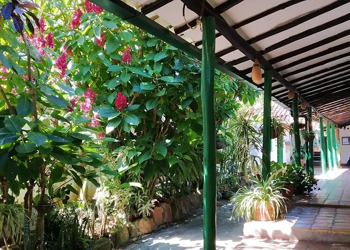 Mi Ranchito, Centro