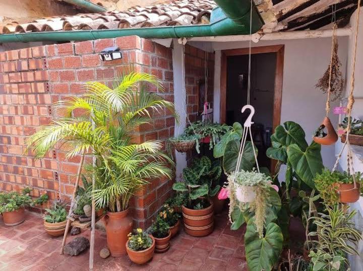 Mi Ranchito, Centro