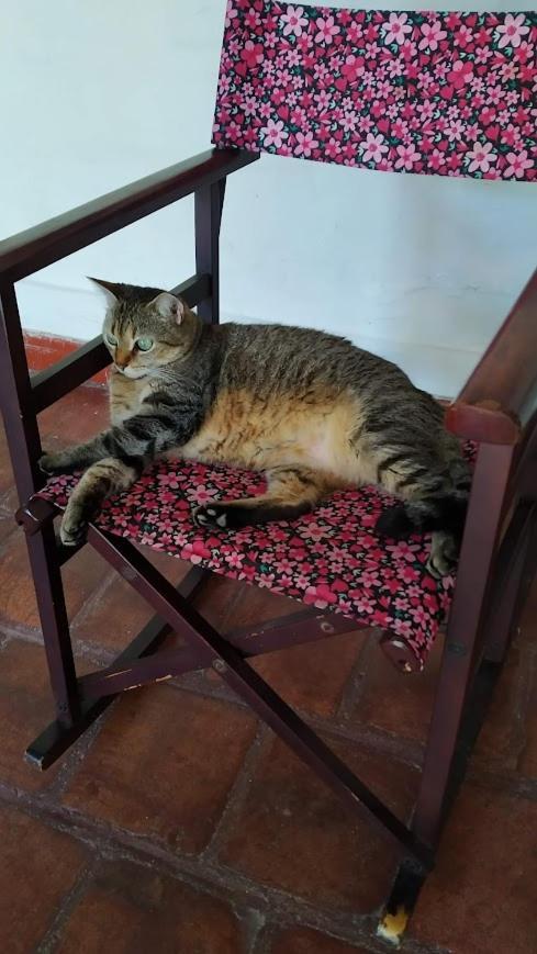Mi Ranchito, Centro Casa de hóspedes Barichara